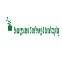 Endargachew Gardening and Landscaping
